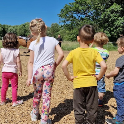 Beobachten und Ruhe bewahren